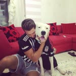 Mert