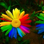 Sinem