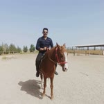 Ercan