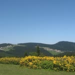 Ertan