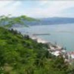 Davut