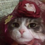 Büşra