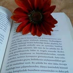 Özlem