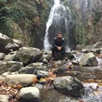 Vedat