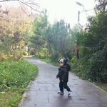 Veysel