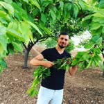 Osman
