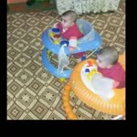 Ayse