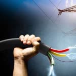 Ed Elektrikmekanik