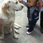 Emine