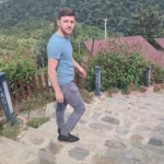 Doğan