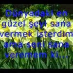 Caner