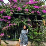 Merve