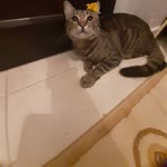 Ufuk
