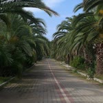 İlhan