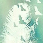 Birsel