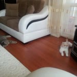 Nazar