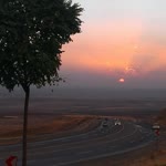 İnsan