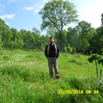 Harun