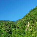 Hayat