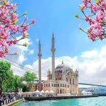 Nurcan