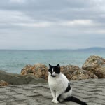 Esra