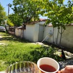 Sümeyye