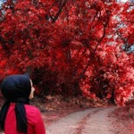 Ebru