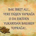 Burcu