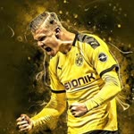 Pro
