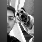 Enes