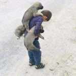 Turgut