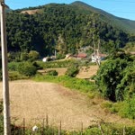 Samet