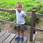 Yigit