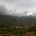 Veli