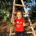 Cemile