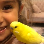Emine