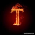 Taner