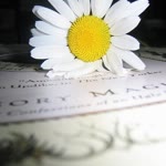 Elif