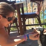 Burcu
