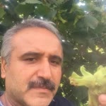 Bayram
