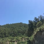 Orkun