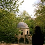 Ayşenur
