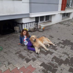 Miray