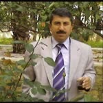 Nazmi