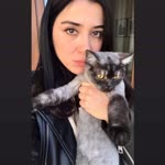 Selda