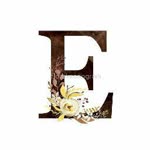 Eda