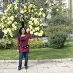 Tc Nergis