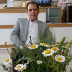 Hamza