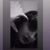 profile-icon