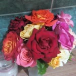 Hatice